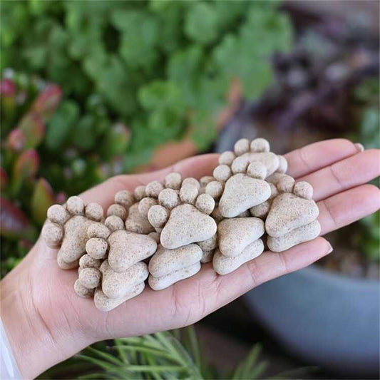 Garden Trail Stone Outdoor Decorative Stone