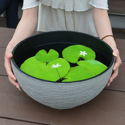 Lotus Flower Planter with Wide Opening